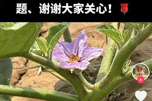 完美发挥！福登数据：2助攻6关键传球，9.2分全场最高